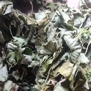 Jual Teh Daun Pegagan Kering Tanpa Batang Perbungkus 250 Grm