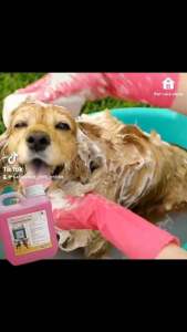 แชมพูสำหรับสัตว์เลี้ยงกลิ่นสบู่ญี่ปุ่น หอมนาน แก้คัน สำหรับสัตว์เลี้ยง แชมพูอาบน้ำสุนัข แชมพูอาบน้ำแมว