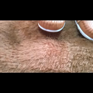 SEPATU ANAK sneaker Cassual COMBINASI JARING