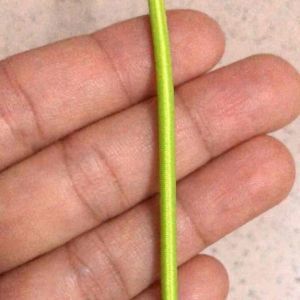 10 mét - Thun 2.5mm đàn hồi 100% ko biến dạng dùng trong áo khoác trang trí dây giày cột tóc