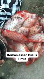 Essen Supertomna: Suplemen Vitamin & Makanan Sehat