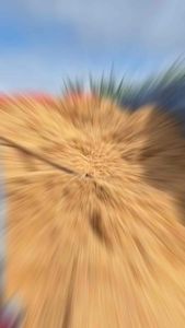 แกลบดิบ แกลบใหม่ จัมโบ้ไซร์ 19500กรัม 80ลิตร วัสดุปลูก เลี้ยงไก่ ก.การเกษตรฟาร์ม