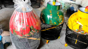 KANDANG BURUNG MOTIF LUKIS BERBAGAI MACAM WARNA SANGKAR PERKUTUT TERBAIK KUALITAS SUPER