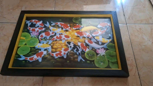 Hiasan dinding cetak Ikan koi indah plus bingkai ukuran 35x52cm