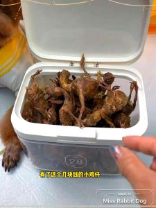 Premium Freeze-Dried Chick For Pets Dog Cat Pet Treat Dog Snack  Cat Snack Freeze-Dried Chick宠物狗狗猫咪冻干小鸡仔 高蛋白宠物零食