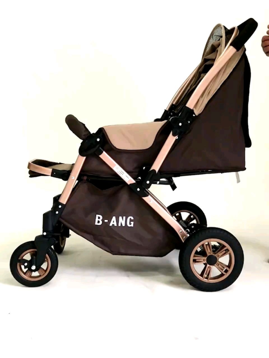 Back best sale facing stroller