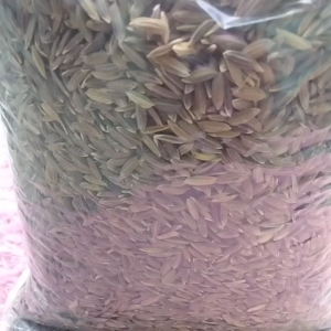 Benih Padi Beras Ketan Hitam 500 Grm Per Bungkus