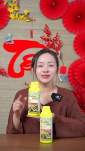 Siêu Đậu Trái Dừa Giúp Đậu Trái Sai Quả Trĩu Buồng Chống Khô Trái Non Nứt Trái Dừa 500ml