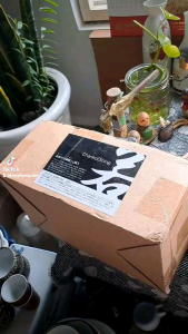 Set Ly phu thê mộc Chanko Dining nhật bản