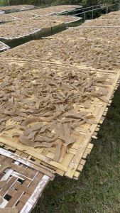 Keropok Ikan Parang Asli Dari Kilang Terengganu / Keropok Putih / Keropok Terengganu / Keropok Ikan Terengganu / Fish Crackers / Tradisional Foods / Ikan Parang Asli / Keropok Ikan Natrah / Keropok Natrah