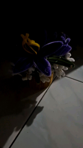 Bunga Kawat Bulu Mini: Panduan Lengkap