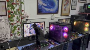 KHANOMMECOM คอมพิวเตอร์เล่นเกม ราคาหนัาร้าน 3900 ทักแชทสอบถาม FreeFire Pubg โมบาย  บัสเทินฟิว 4 PB SF THE SIMS 4 คอมประกอบที่น้องๆอยากได้ เคสไฟ RGB เมาส์คีบอร์ดไฟ แถมตัวรับไวฟาย ลงวินโดว์ 10