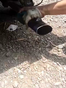 COD knalpot suos soss swoss ngorok all mobil bensin dan solar Truk avanza granmax carry futura apv L300 Raggasa elf canter panther traga dll