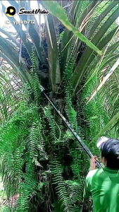 Spesifikasi Produk EGREK CAMEL KING 111