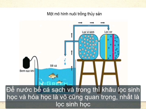 Sứ Lọc Nước Hồ Cá Bổ Sung Khoáng - Duy Trì Chất Lượng Nước Tốt