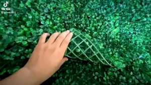 Daun Dollar/ Daun Alaska/ Daun Oxylia/Daun Dinding Dekorasi/Daun Palsu