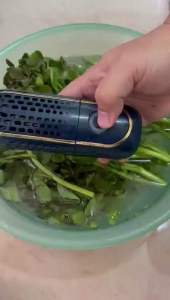 RaldMoyer Fruit and Vegetable Purifier เครื่องล้างผัก ผลไม้ ด้วยประจุไฟฟ้าสามารถกำจัดแบคทีเรียและสารเคมีตกค้างไม่มีอัตราย