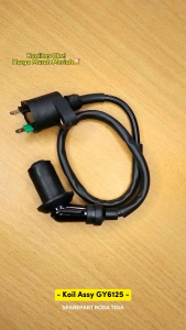 Coil + Kepala busi Karya GY6125 (30C) Sparepart Roda Tiga