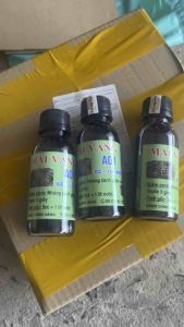 Kích rễ Mai Vàng A01