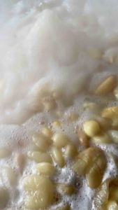 จาวตาลเชื่อม ขนาด 500 กรัม