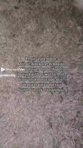 Sarung Jok Motor Tahan Cakaran Kucing dan Air