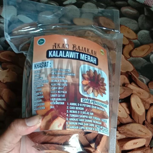 AKAR BAJAKAH KALAWIT MERAH 500 gram akar bajakah asli Kalimantan