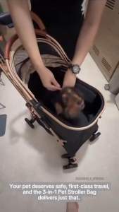 Lightweight Foldable Pet Stroller for Small Dogs Medium to Large Breeds Cats and Outdoor Pet Travel 3 in 1 comfortable