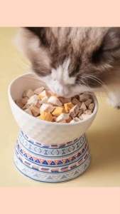 Ergonomic Raised Pet Bowl - Anti-Vomiting Tilted Ceramic Feeder for Cats & Dogs Elevated Food & Water Dish Pet Feeding
