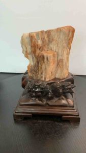 TSK Crystal SHY043 天然树化玉 黄里透白 色泽圆润 特制雕刻实木底座 Natural Tree Fossil Jade