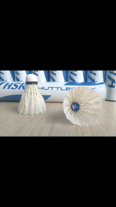 Kok Badminton HSR BIRU. GROSIR