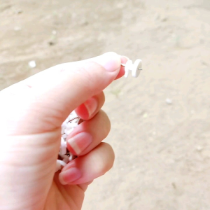 Set 100 móc đinh size mini nhựa ABS treo tranh và vật dụng có Kích thước nhỏ nhẹ