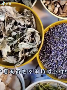 中药驱蚊香包 (1套5包)