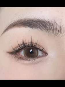 【Korean Cat Eye Look】Lashivo Cat Fairy Glue-Free Lashes 8–12mm｜自然轻盈猫眼款 免胶假睫毛｜Bulu Mata Tanpa Gam Ringan