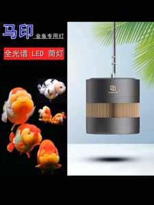Đèn Rọi MAYIN Cho Huyết Long - Đèn Rọi Cho Cá Vàng Công Suất 60w 100w