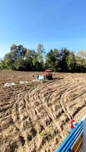 ผ้ายกหัวมัน