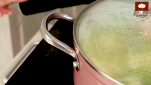 Vantage IKI SERIES Deep Fry Pan 28cm With Steamer