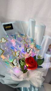 Buket Kupu-Kupu LED 10 Pcs Rainbow Cantik & Free Kartu Ucapan