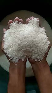 PROMO BERAS ROJOLELE SUPER QUALITY 1 kg PUTIH BERSIH PULEN