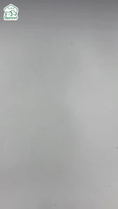 สร้อยคอแมว ปลอกคอมุก สร้อยคอสัตว์เลี้ยง ปลอกคอ หมา แมว