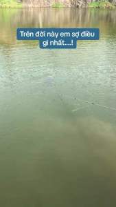 LƯỚI 3 MÀNG BẮT CÁ HÀNG ĐẶT THỢ CHIỀU CAO 2M3M CHIỀU DÀI 80M