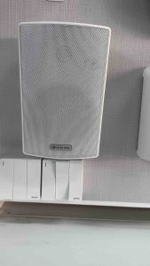 LUCKY TONE WP-515T 5" WALL MOUNT SPEAKER (1PC)