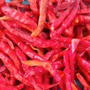 พริกยอดสนแห้ง(เด็ดก้าน500 กรัม)