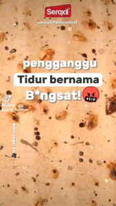 Cairan Semprotan Pembasmi Tungau & Pembersih Kutu Kasur dan Sofa - Seroxil Pembasmi Anti Kutu Kasur dan Sofa