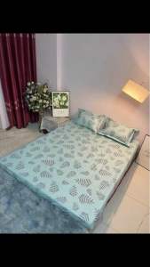 Bộ Ga Cotton Hàn Quốc + Đôi vỏ gối ga chun bọc đệm dưới 10cm kèm vỏ gối cùng màu cao cấp