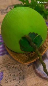 มะพร้าวปลอม (ลูกเล็ก) วัสดุผลิตจากกระดาษผสมกาว เส้นผ่าศูนย์กลาง 4 นิ้ว สูง 4.5 นิ้ว