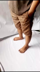 Celana Pendek Pria Warna-Warni: Rekomendasi Untuk Aktivitas Sehari-Hari