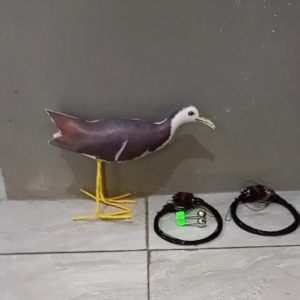 BONUS LONCENG SATU SET RUAK RUAK 4 METER + 1 KAREO