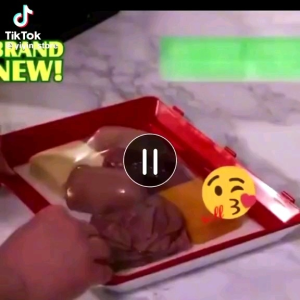 Penyimpanan Makanan Vacum Tray Go Green