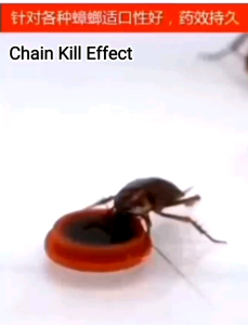 Ubat Lipas Semut / Cockroaches Ants Gel Patch Bait / Killer Cockroach Ant / Pest Control / Cockroaches Bait Trap Lizard Cicak 蟑螂蚂蚁杀手