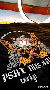 Kaos Psht Nusantara Katun Combed Pria Wanita